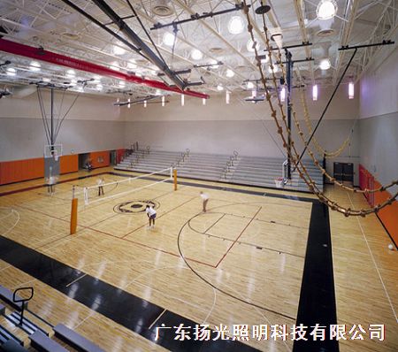 排球体育场馆betway手机版