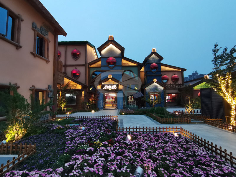 乡村小镇夜景灯光工程实拍图二