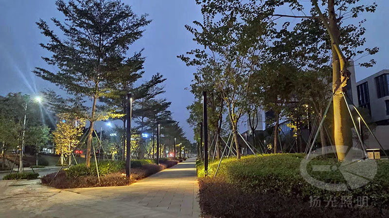 创意园区夜景照明实拍图