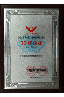 2015й30ǿҵ